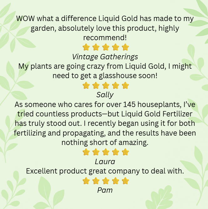 Liquid Gold 10 Sachet(box)