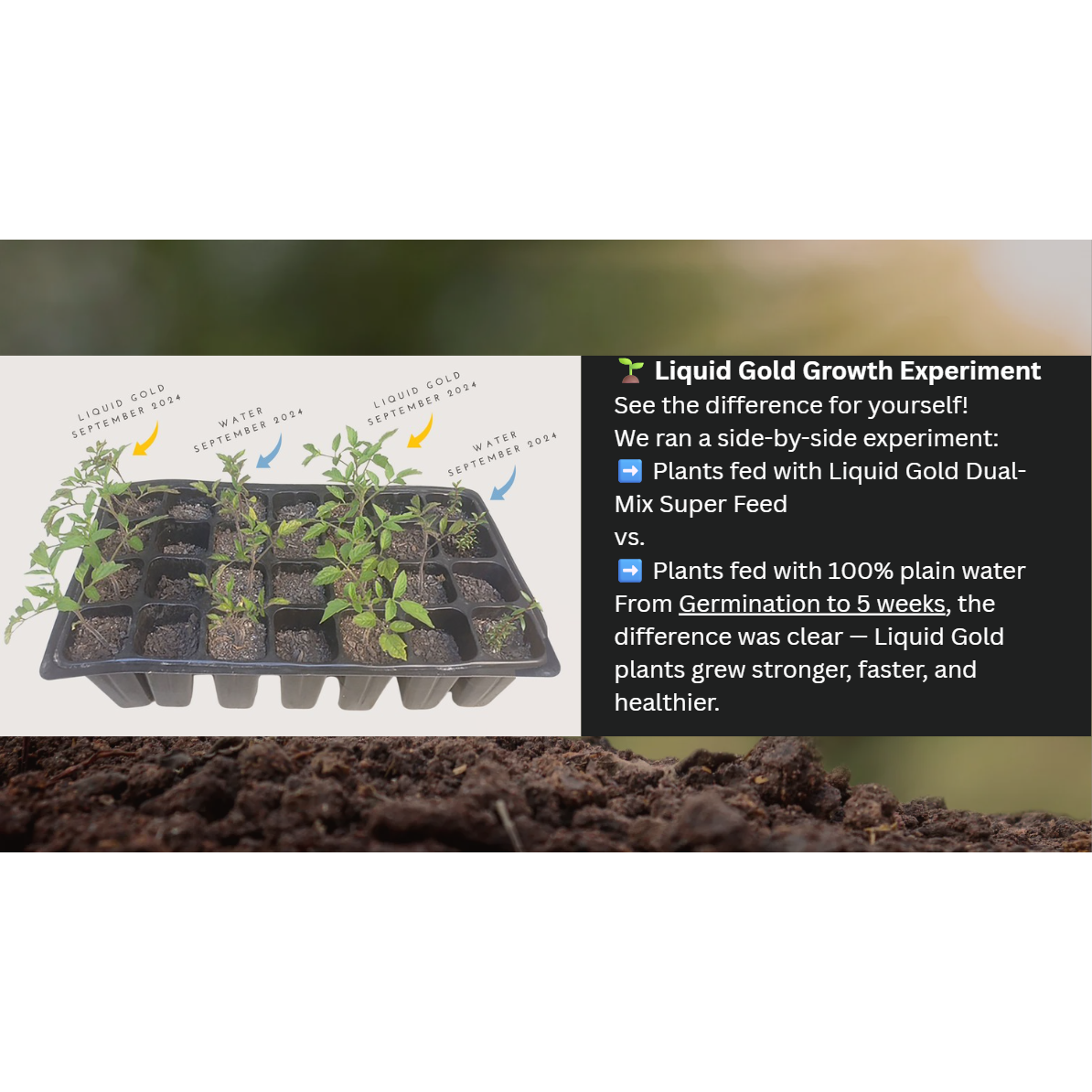 NZ Liquid Fertiliser - LiquidGold™ for Plants & Trees – Liquid Gold