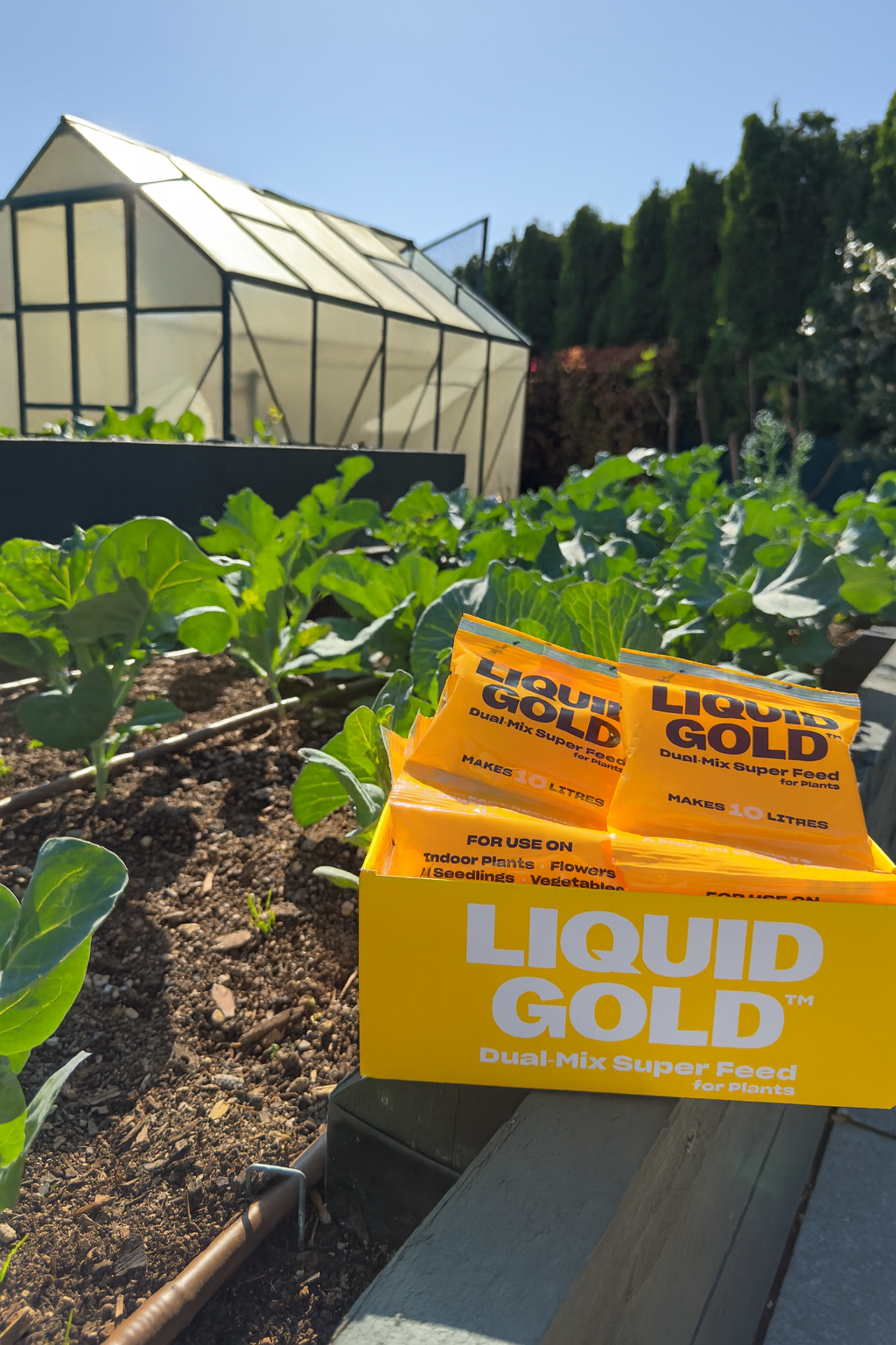 fertiliser for vegetables, vegetable garden fertiliser NZ, liquid fertiliser for vegetables, how to feed vegetables, vegetable care guide, companion planting vegetables, growing vegetables in NZ, NPK for vegetables, vegetable pests and diseases, how to fertilise a vegetable garden, organic fertiliser for vegetables, vegetable garden soil