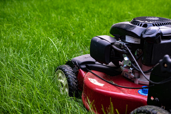 liquid lawn fertilizer NZ, how to fertilise a lawn, liquid feed for lawns, lawn care guide, best time to apply lawn fertiliser, lawn feed schedule, fast greening lawn, foliar feed, lawn soil health, lawn renovation